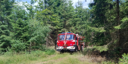 Hasiči likvidovali požár v lese u Bukové
