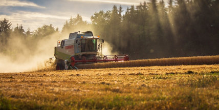 Ve středních Čechách začaly žně, farmáři sklidili 41 pct ploch s ozimým ječmenem