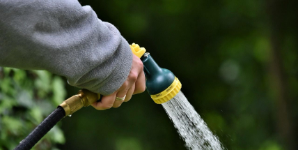 Kbelík ano, čerpadlo ne. Kdy se zalévání z přírody mění v přestupek