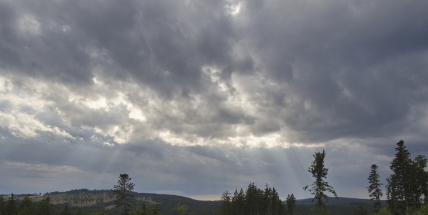 Meteorologové: Tento týden bude deštivý, nejvyšší teploty budou většinou kolem 25 stupňů
