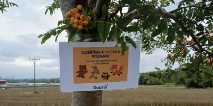 Když počasí zlobí, vyrazte s dětmi na Dobříšskou stezku poznání