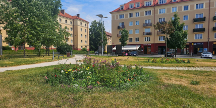 Výroční zpráva města Příbram: kam šly peníze v roce 2024 a co zásadního se chystá v roce 2025?