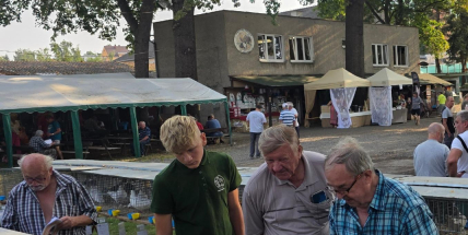 Rožmitálští chovatelé uspěli na výstavě v Sedlčanech