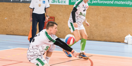 Kocouři vyhráli v pěti setech a získali 2 body