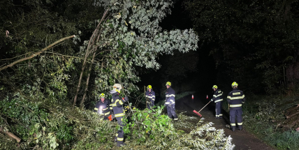 Bouřlivá noc zaměstnala znovu hasiče, především odstraňovali popadané stromy