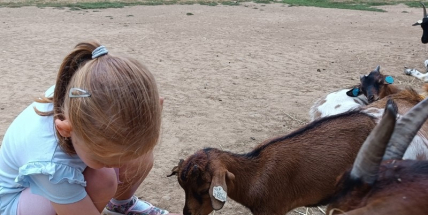 Tip na výlet: Zoopark Zelčín: ráj pro rodiny s dětmi