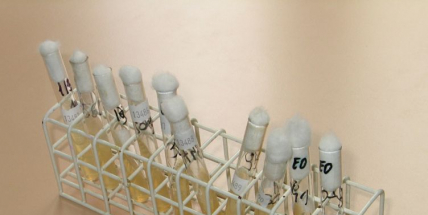 V Dobříši otevřeli nový vědecko-technický park