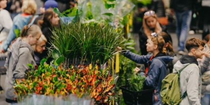 Tipy na víkend: Běh města Příbrami, farmářské trhy s podzimní dílničkou nebo první Festival rostlin