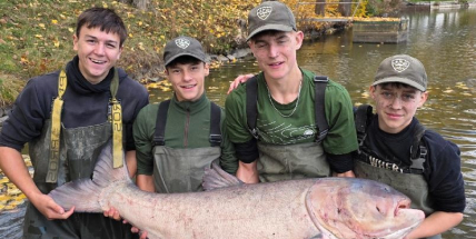 Rybáři do Sadoňského rybníka vysadili rybí obry. Mezi nimi je i vzácný albín