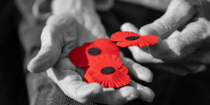 Sbírka, která zachraňuje paměť: Podpořte válečné veterány