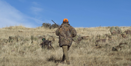 Na lov vyrážejí spolu s myslivci i policisté