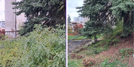 Nálety mizí. Příbram si čistí výhled