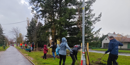 Dobříš má nové stromy díky společné výsadbě dobrovolníků