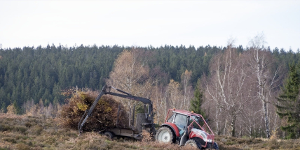 Houpák zarůstá a stín nesvědčí vřesům