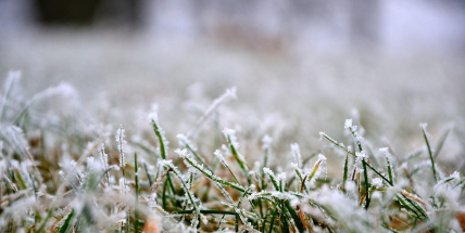 Do Česka dorazily první výrazné projevy zimy: studená fronta přinesla sníh, mráz i náledí