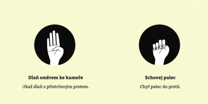 Mezinárodní den boje proti násilí na ženách