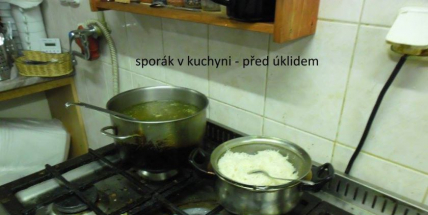 Hygiena si došlápla na Restauraci U Šaška