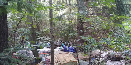 Černé skládky v Příbrami: proč město platí navíc, když máme sběrný dvůr zdarma