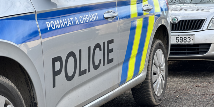 V Žežické ulici porazil osobák ženu