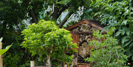 Na projekty ochrany přírody dá kraj osm a půl milionu korun