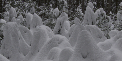 Bude sníh na Vánoce nebo ne? Víte ještě, jak vypadá zasněžená příroda?