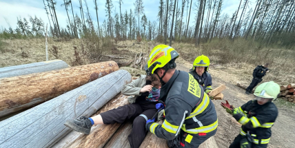 Rok plný kuriózních zásahů: hasiči zachraňovali děti, zvířata i řidiče v nouzi