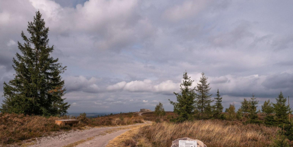 Brdy zblízka i zdálky: 10 let chráněné krajinné oblasti