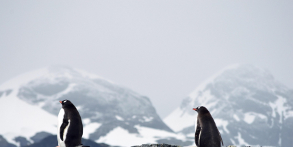 Tipy na víkend: Přednášky o exotických zemích a fantastické filmové světy