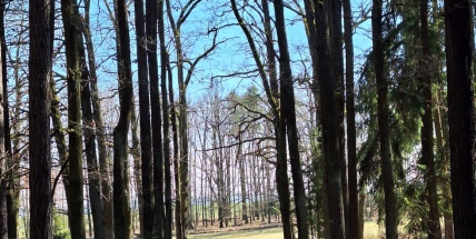 Pokračováním kamenných zastavení křížové cesty bude sochařské dílo Smíření a odpuštění