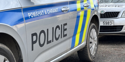 Na ženu, která měla pobodat muže, byla uvalena vazba