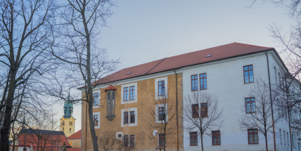 Galerie Františka Drtikola: výbor nenašel pochybení, ale měl výhrady. Ředitelka sama požádala o audit