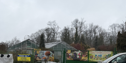 Petunia mluví o vůli pokračovat. A co fakta z dokumentů města?