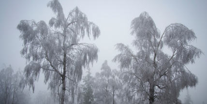 Turistický boom ve Středních Čechách: Brdy a Příbram lákají stále víc návštěvníků