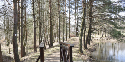 Příbram opravila čtyři rybníky za 20 milionů. Teď se chystá na Černé jezírko