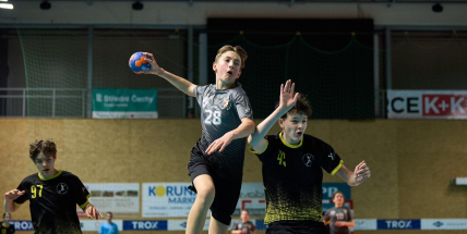 Memoriál Ing. Zdeňka Vojíře pomáhá dětem. Házenkáři hráli opět pro dobrou věc