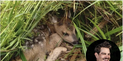 Drony místo slz. 180 zachráněných srnčat — patron David Kraus podporuje sbírku