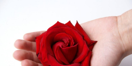 Oslavy MDŽ na Rožmitálsku: tradice, poděkování i společná setkání