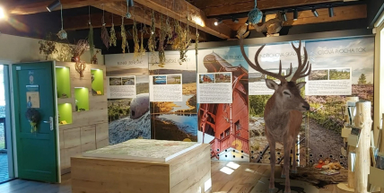 Výstava žáků v Obecnici pomůže k nákupu výtvarných pomůcek!