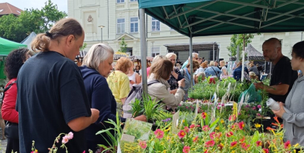 Oblíbené regionální trhy v Dobříši: přijďte ochutnat, nakoupit a pobavit se