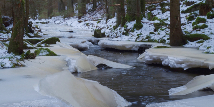 Únor byl teplotně nadprůměrný. Patří k teplejším v historii měření
