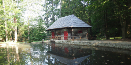 Je bobr škůdce nebo pomáhá přírodě? I to se můžete dozvědět na zámečku uprostřed Brd
