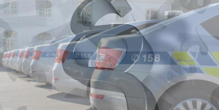 Otřesný nález na okraji Vranovic: manželský pár tam v domku provozoval ilegální množírnu