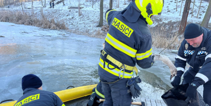 Pes v rozpáleném autě, had v obýváku, bobr v přepadu. Příbramští hasiči řešili 31 zvířecích záchran