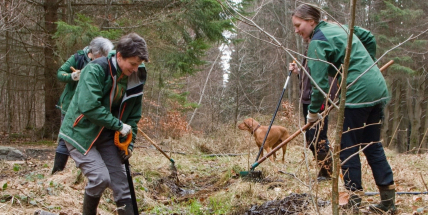 Ochranáři vylepšily v CHKO Brdy „porodnici“ pro mloky