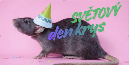 I krysy mají svůj den. A možná vás překvapí, proč si ho zaslouží