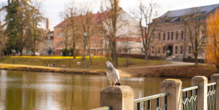 Starosta omluven, jednání vedl místostarosta Karpíšek. Kdo čekal ostré střety, ten se nedočkal — přesto jeden bod dokázal zastupitele rychle vrátit na zem