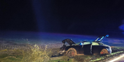 Řidič audi se vyhýbal zvěři a skončil mimo silnici