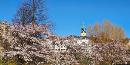 Šok v žebříčku kvality života: Příbram dopadla hůř než Ústí