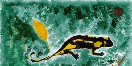 Brdy očima dětí: CHKO vyhlásila velkou výtvarnou soutěž k desátému výročí