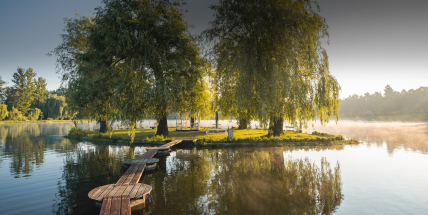 Čtyři klíšťata po jedné procházce. U Nového rybníku v Příbrami jich podle lidí výrazně přibylo